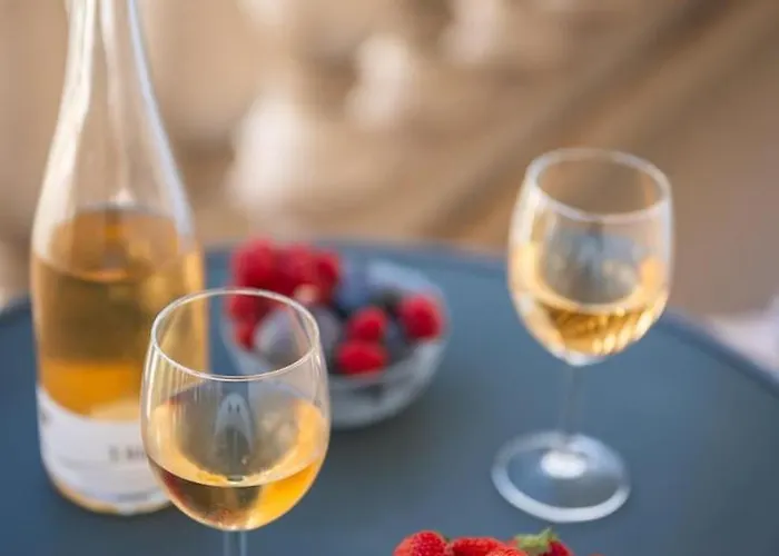 Apartament Le Coq St-roch - Parking - Ac - Swimming Pool