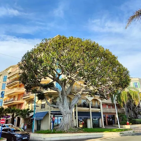 Le Coq St-roch - Parking - Ac - Swimming Pool Apartment