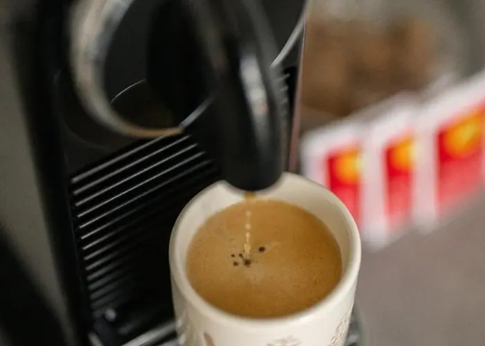 Lejlighed Le Coq St-roch - Parking - Ac - Swimming Pool Menton