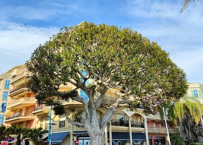 Le Coq St-roch - Parking - Ac - Swimming Pool Apartamento